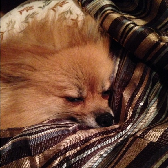 Meet your Posher, Dena - Picture 9 of 15